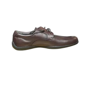 Lands' End Men's Casual Oxford Dark Brown